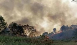 桂平最新爆料事件视频,视频揭露惊人真相！