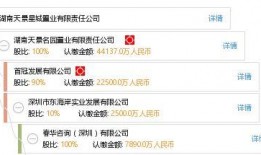 星城公司最新爆料事件,揭秘事件背后惊人真相